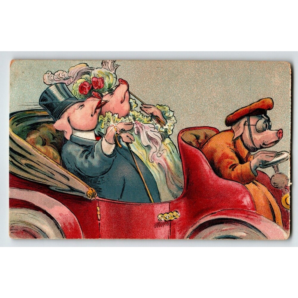 Dressed Pigs Married Husband Wife Bride Driver In Car Fantasy Anthropomorphic